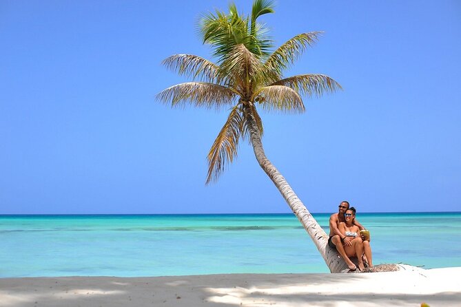 Saona Island Full Day Excursion from Punta Cana + Catamaran Party - The catamaran party on the way back