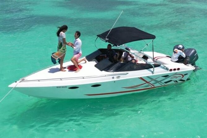 Saona island - Private Tour with a Luxury Speed Boat - Key points at a glance