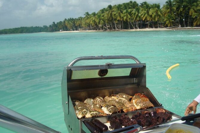 Saona island - Private Tour with a Luxury Speed Boat - Las Palmillas natural pools and shallow water