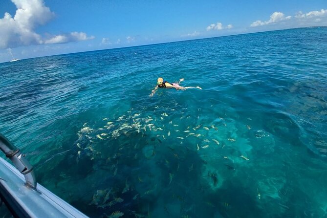 Saona island - Private Tour with a Luxury Speed Boat - Drinks, snacks, and the lunch question