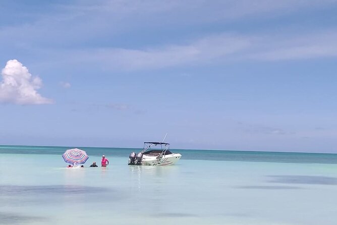 Saona island - Private Tour with a Luxury Speed Boat - Who should book this private boat