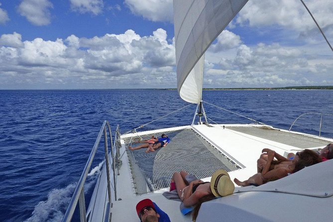 Saona Island small group and relax - luxury catamaran - Las Palmillas and its starfish