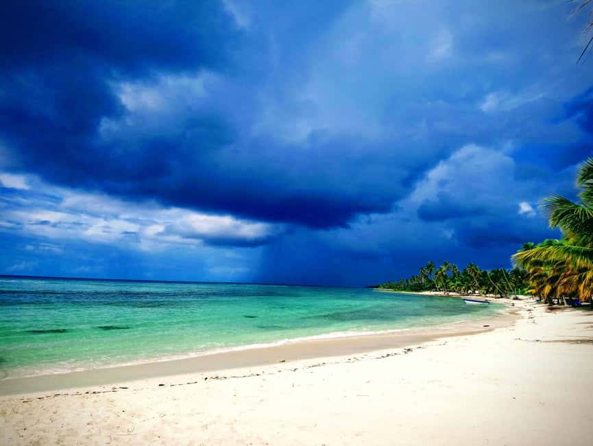 Saona Island: Small Group Virgin Beaches Cruise Day Trip - Should you book this Saona Island trip?