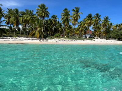 Saona Island: Small Group Virgin Beaches Cruise Day Trip