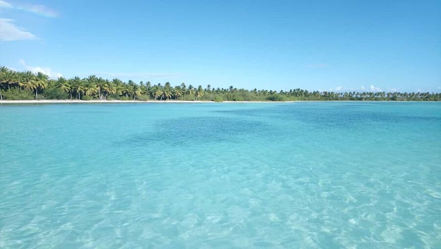 Saona Island: Small Group Virgin Beaches Cruise Day Trip - Two and a half hours at Canto de la Playa