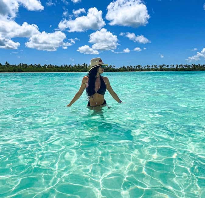 Saona Island Tour All Inclusive Speedboat and Catamaran - The natural pool and its starfish