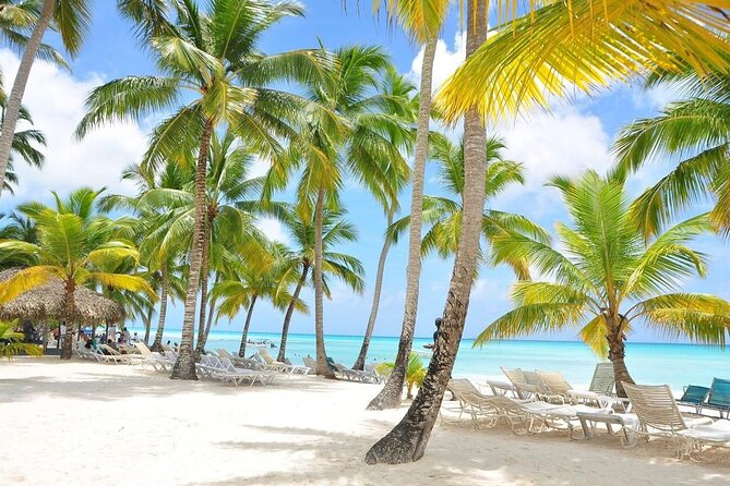 Saona Island VIP Experience – Private Boat for Up to 20 People - What this private Saona Island day really offers