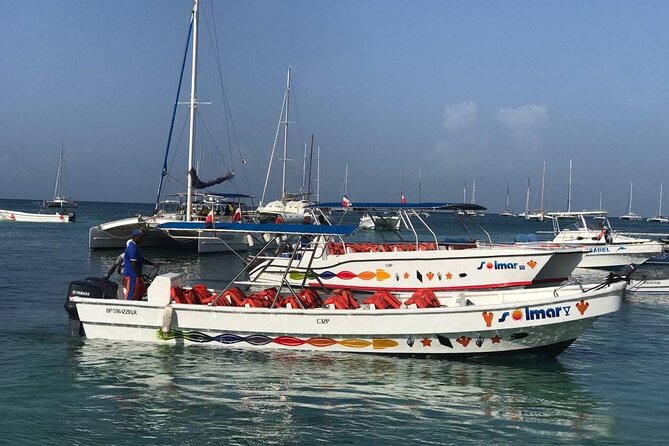 Saona Island VIP Experience – Private Boat for Up to 20 People - The natural pool stop