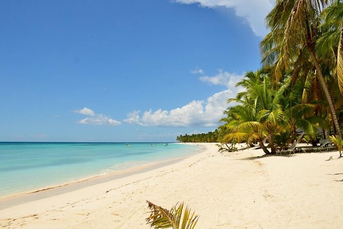 Saona Island VIP Experience – Private Boat for Up to 20 People - Who should book this experience