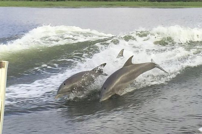Savannah to Tybee Island with Dolphin Cruise - Is $73.83 a fair price?