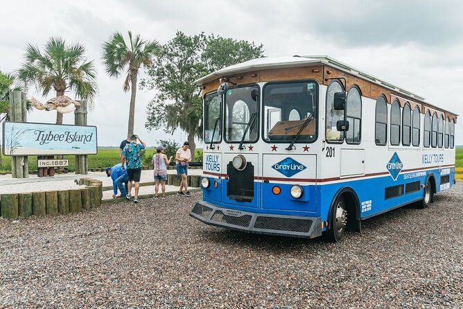 Savannah to Tybee Island with Dolphin Cruise - Who should book this Tybee tour?