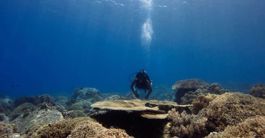 Scuba Diving 3 Islands Nha Trang Tour - Key points to know before booking