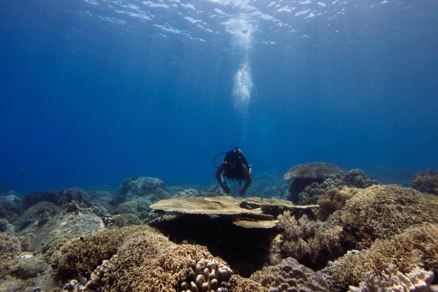 Scuba Diving 3 Islands Nha Trang Tour - Starting the day in Nha Trang Bay