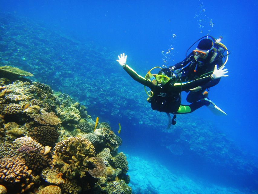 Scuba Diving 3 Islands Nha Trang Tour - What the guided format means for you