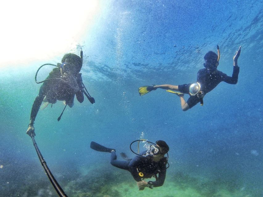 Scuba Diving 3 Islands Nha Trang Tour - Coral Bay 2 and the afternoon pause