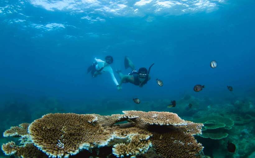 Semporna: Explore 3 Islands Tour Snorkel or Dive & Lunch - Timba Timba: the first long stop
