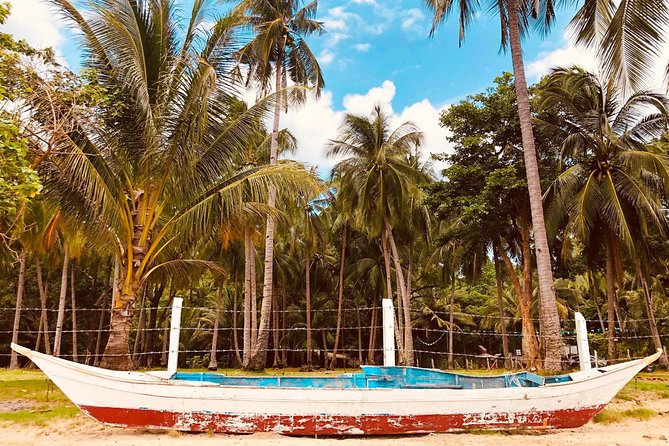 Shared Honda Bay Island Hopping Tour - Cowrie Island: Two Hours for Swimming and Lunch