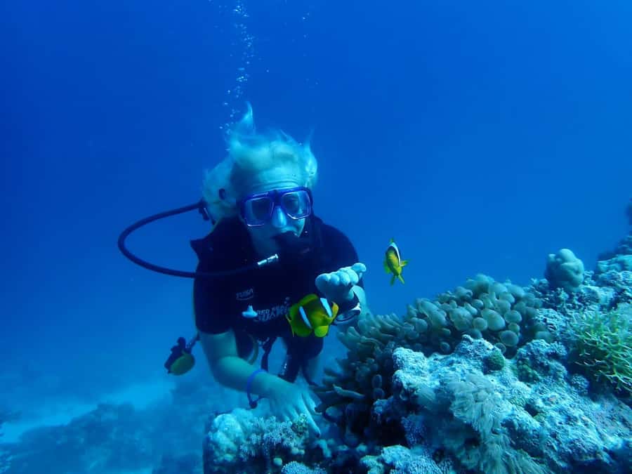 Sharm El Sheikh: Day sail to White island and Ras Mohamed - Why Ras Mohamed makes this a worthwhile boat day