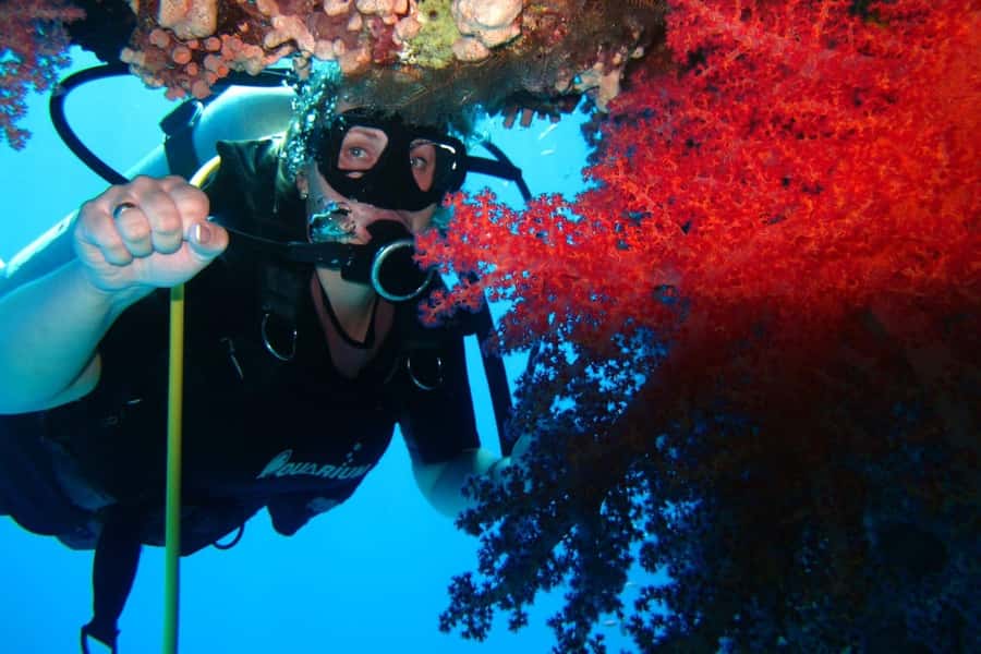 Sharm El Sheikh: Day sail to White island and Ras Mohamed - White Island, the tide-dependent sandbar
