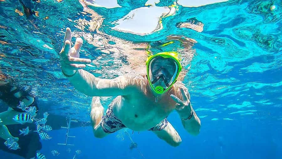 Sharm El Sheikh: Day sail to White island and Ras Mohamed - Timing, comfort, and the return to Sharm El Sheikh