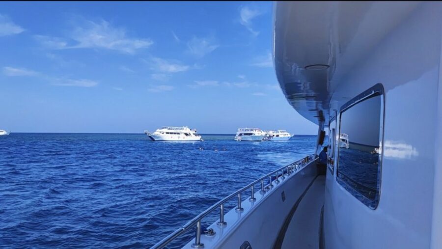 Sharm El-Sheikh: Luxury Ras Mohammed & White Island Cruise - The second reef stop gives the day more depth