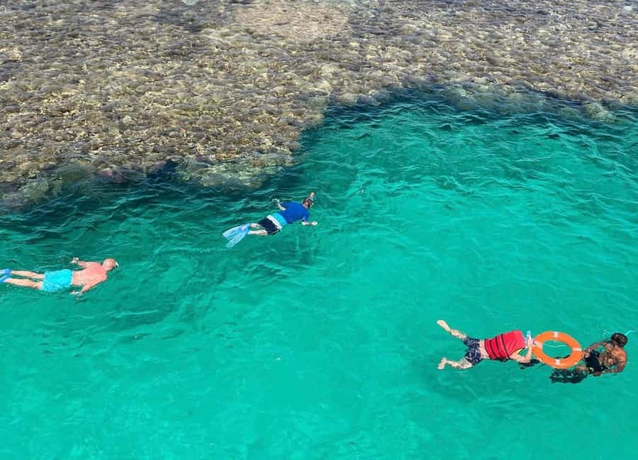 Sharm el-Sheikh: Premium Ras Mohammed & White Island Cruise - Should you book it?