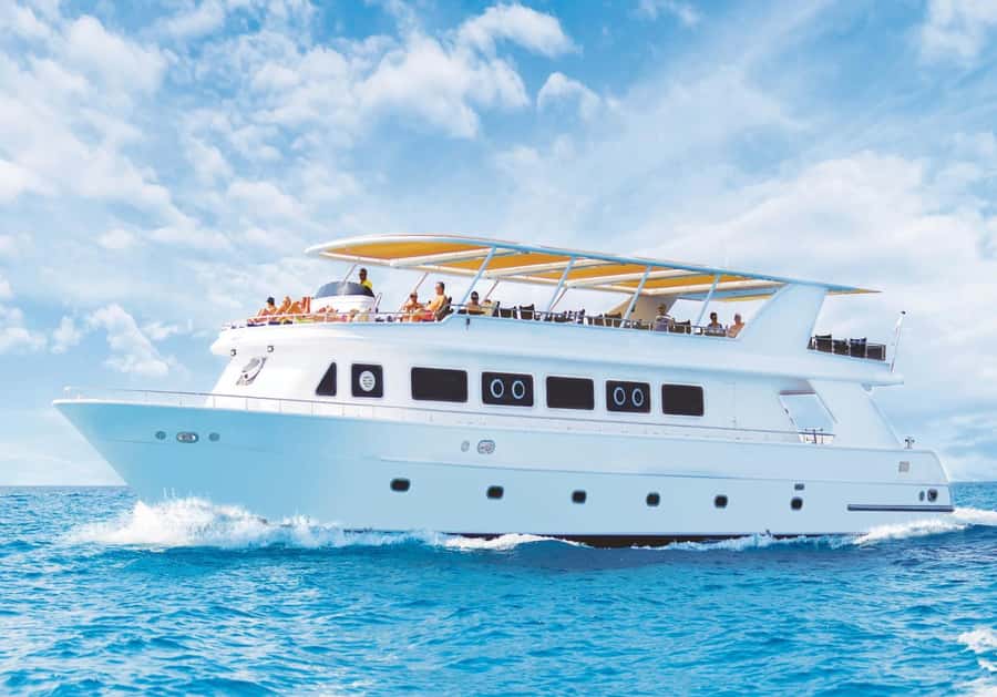 Sharm el-Sheikh: Premium Ras Mohammed & White Island Cruise - Why Ras Mohammed makes this cruise worth your day