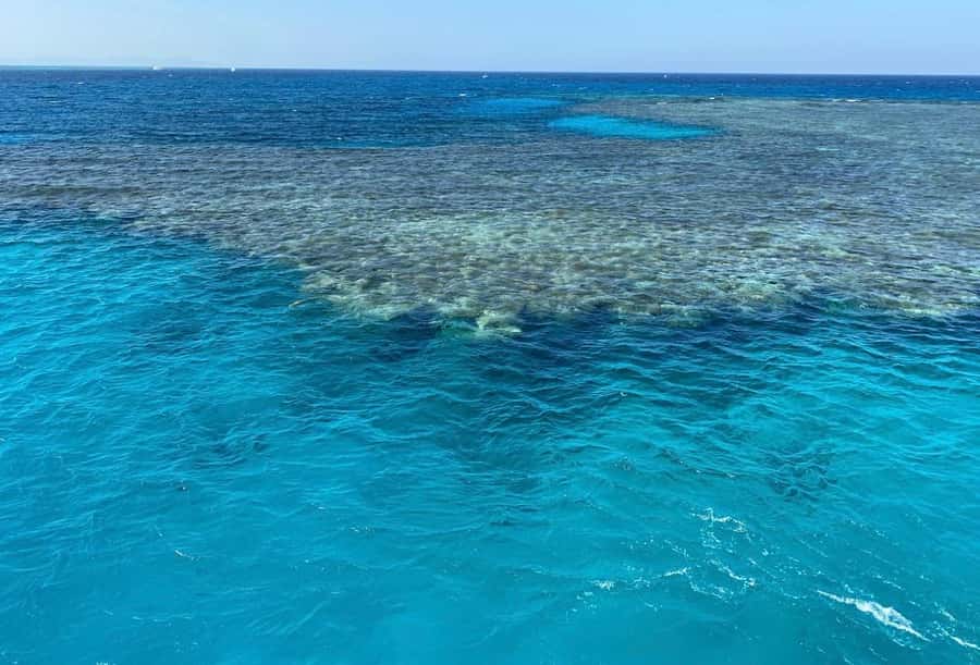 Sharm el-Sheikh: Premium Ras Mohammed & White Island Cruise - Lunch, drinks, and life between the stops
