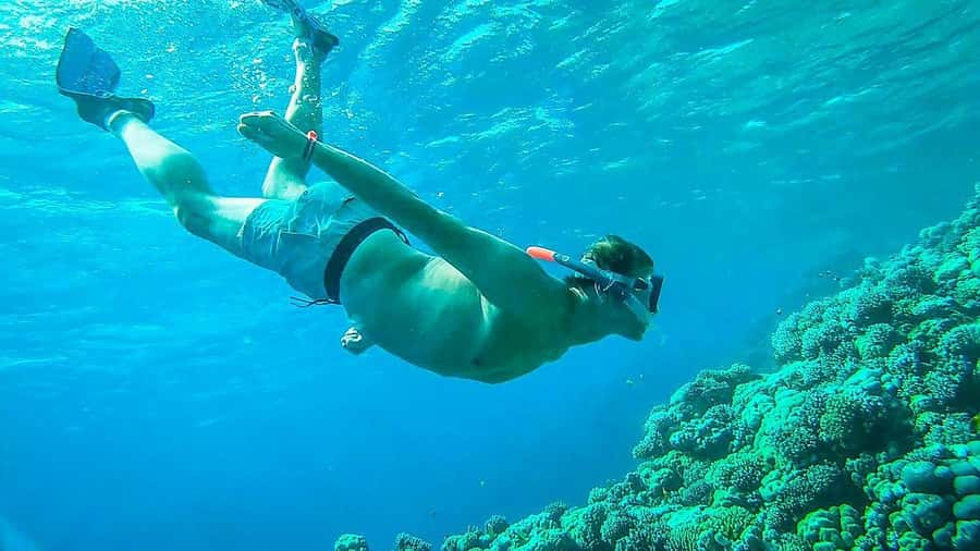 Sharm El Sheikh: Ras Mohamed and White island cruise - Life aboard the modern yacht