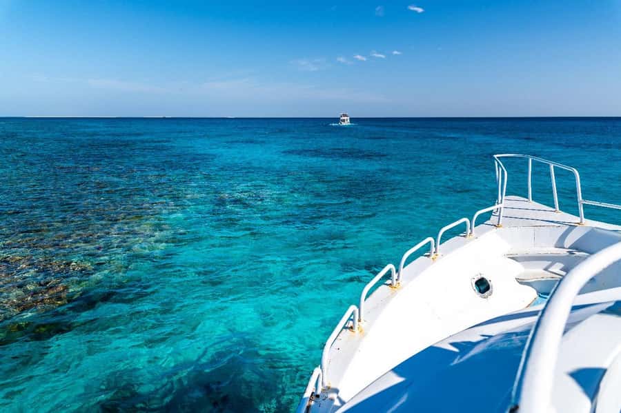Sharm El Sheikh: Ras Mohamed and White island cruise - Buffet lunch and drinks on board