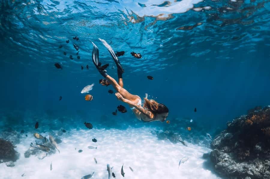 Sharm El Sheikh: Ras Mohamed and White island cruise - Getting from your hotel to Watanya Marina