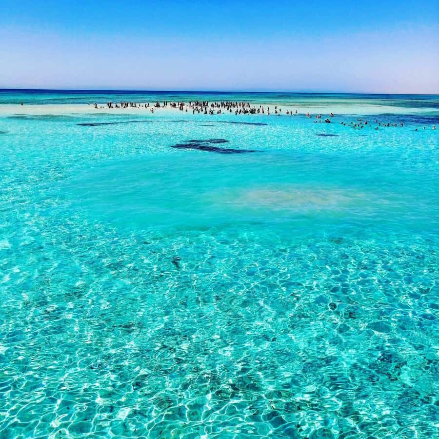 Sharm El Sheikh: White Island & Ras Mohamed Park - From Sharm El Sheikh to the open Red Sea