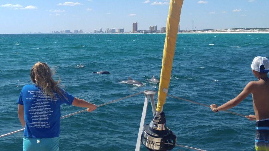 Shell Island: Adventure Tour on the Privateer Catamaran - Who will enjoy the Privateer Catamaran most