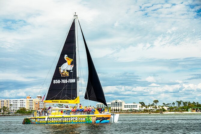 Shell Island Inflatable Adventure Park & Dolphin Sightseeing Tour - Who should book this Shell Island trip?