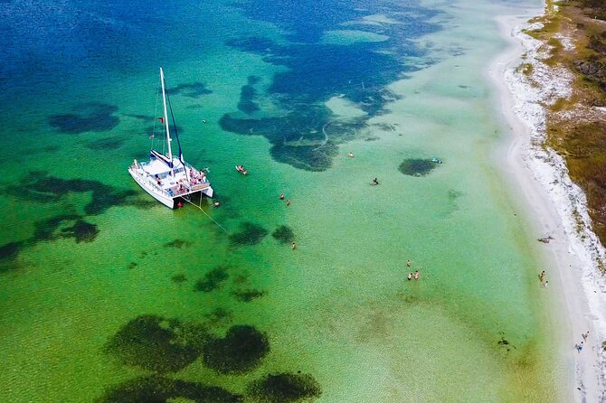 Shell Island Snorkel and Dolphin Catamaran Cruise with Island Time - Key points before you book