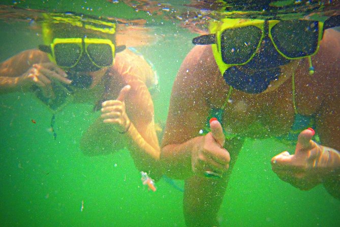 Shell Island Snorkel and Dolphin Catamaran Cruise with Island Time - Snorkeling in St. Andrews Bay