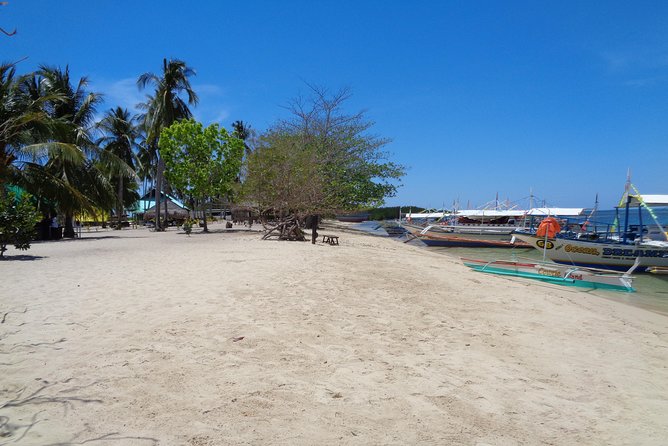 Shore excursion: Puerto Princesa Island Hopping Tour - Starfish Sandbar Resort: the most memorable stop