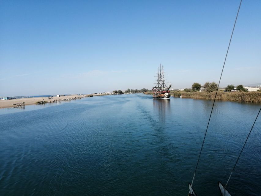 Side: Dolphin Island Boat Tour w/ Lunch & Foam Party - Dolphin Island and wildlife sightings