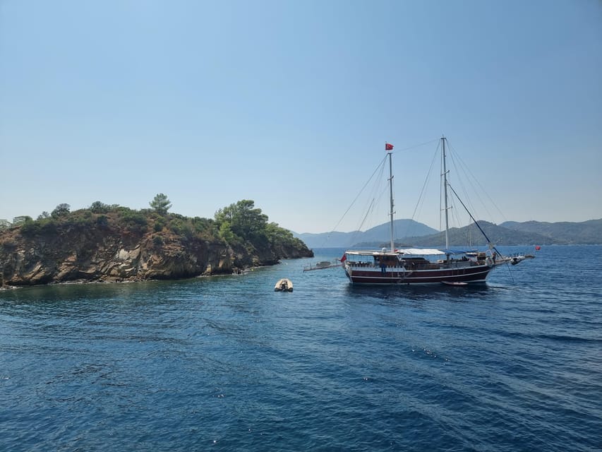 Side: Dolphin Island Boat Tour with BBQ Lunch - Dolphin Island and the wildlife question
