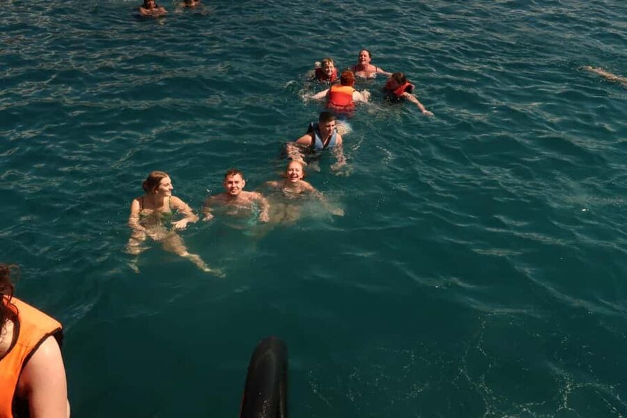 Side Dolphin Island Boat Trip with Lunch & Swim Stops - Should you book the Dolphin Island boat trip?