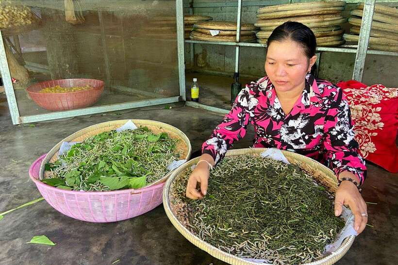 Silk Island Cruise and Tours with English Speaking Guide - Is four hours enough for Silk Island?
