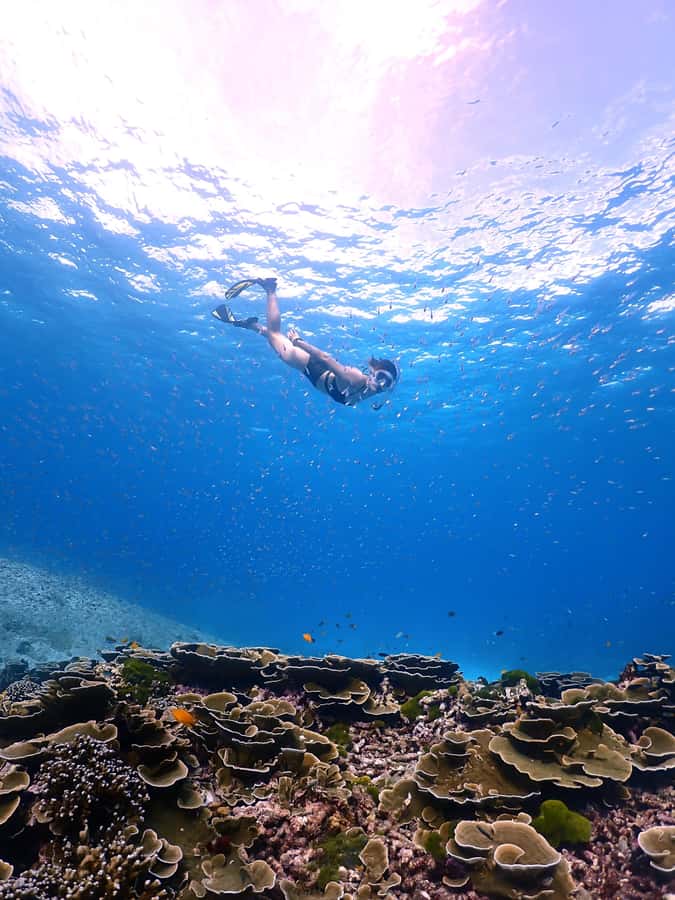 SIMILAN ISLAND BY SPEED BOAT FROM PHUKET - Why the Similan Islands make such a strong day trip