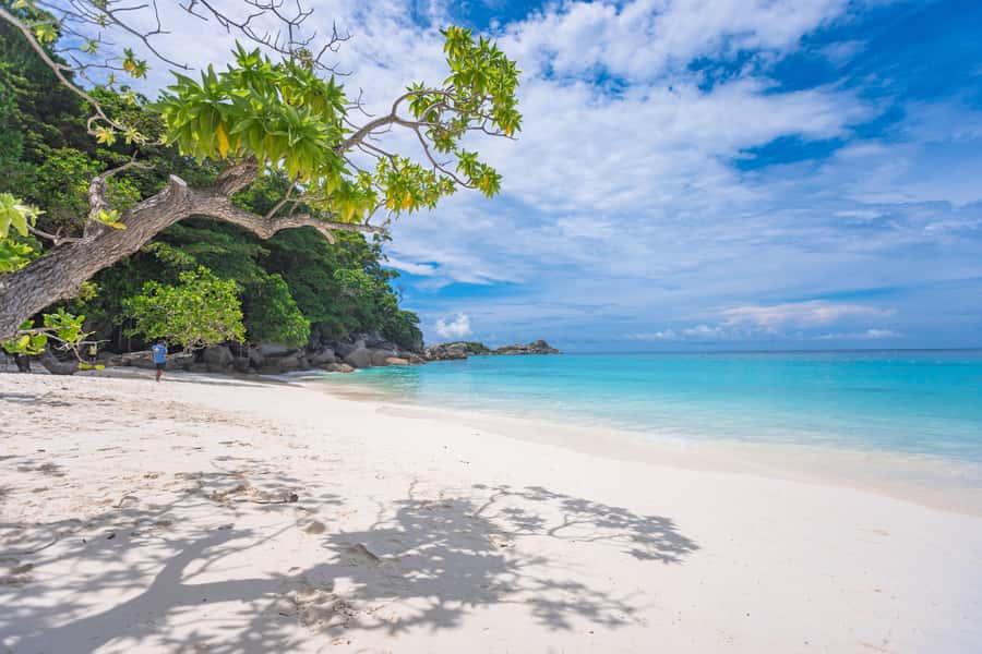 SIMILAN ISLAND BY SPEED BOAT FROM PHUKET - Snorkeling at Islands 5 and 6