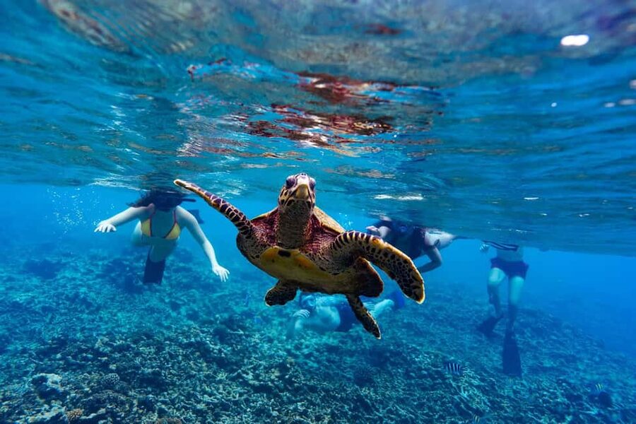 Sister, Coco, and Felicite Island: Seychelles Catamaran Tour - A full day among Seychelles granite islands