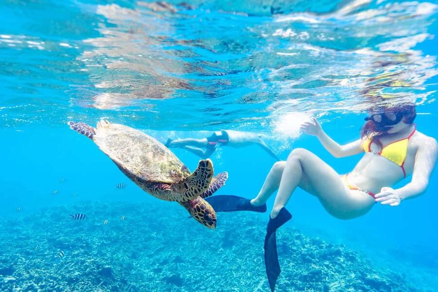 Sister, Coco, and Felicite Island: Seychelles Catamaran Tour - Coco National Park and the island fees