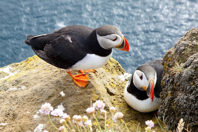 Small Group - Cliffs Cruise, Aran Islands AND Connemara in One Day from Galway - Why this Galway day trip works