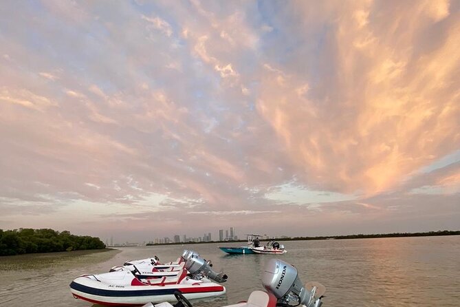 Small-Group Self-Drive Speedboat Tour in Yas Island Mangroves - Guides, safety, and the one serious caution