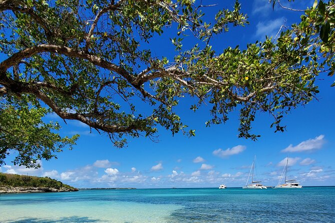 Snorkel - Lobster Lunch Cruise to Bird Island and Paradise Reef - What the $185 price really covers
