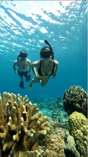 Snorkeling around 3 island & turtle sanctuary - Gili Meno and the turtle conservation stop