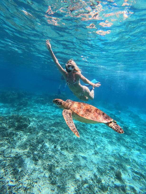 Snorkeling around 3 island & turtle sanctuary - Gili Air, garden fish, and a separate lunch